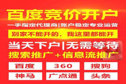 百度竞价运营策略：成功案例解析